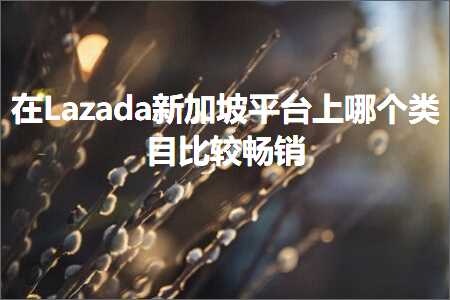 跨境电商知识:在Lazada新加坡平台上哪个类目比较畅销